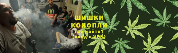 прущая мука Иннополис